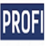 Profi Handwerker Dienstleistungs GmbH logo