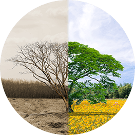 Klantenonderzoek: Sociaal engagement